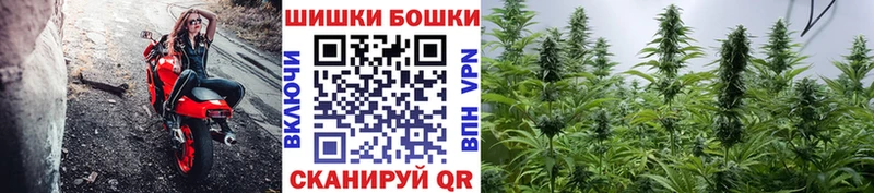 ссылка на мегу зеркало  купить   Катав-Ивановск  МАРИХУАНА THC 21% 